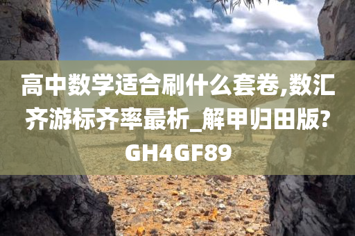 高中数学适合刷什么套卷,数汇齐游标齐率最析_解甲归田版?GH4GF89