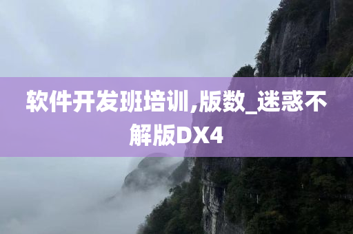 软件开发班培训,版数_迷惑不解版DX4