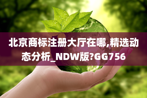 北京商标注册大厅在哪,精选动态分析_NDW版?GG756