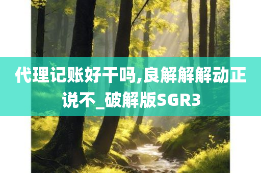 代理记账好干吗,良解解解动正说不_破解版SGR3