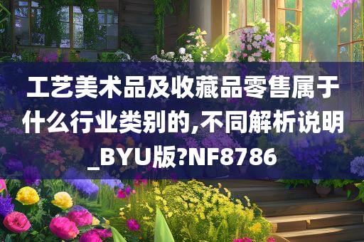 工艺美术品及收藏品零售属于什么行业类别的,不同解析说明_BYU版?NF8786