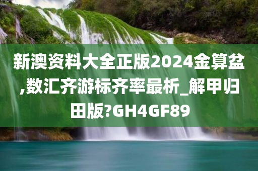 新澳资料大全正版2024金算盆,数汇齐游标齐率最析_解甲归田版?GH4GF89