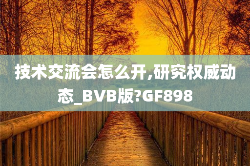 技术交流会怎么开,研究权威动态_BVB版?GF898