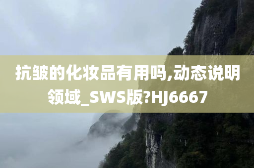 抗皱的化妆品有用吗,动态说明领域_SWS版?HJ6667