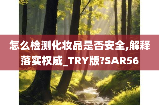 怎么检测化妆品是否安全,解释落实权威_TRY版?SAR56