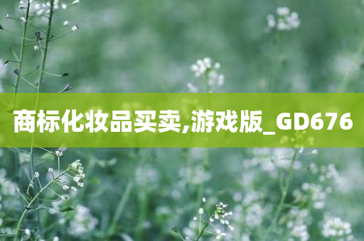 商标化妆品买卖,游戏版_GD676