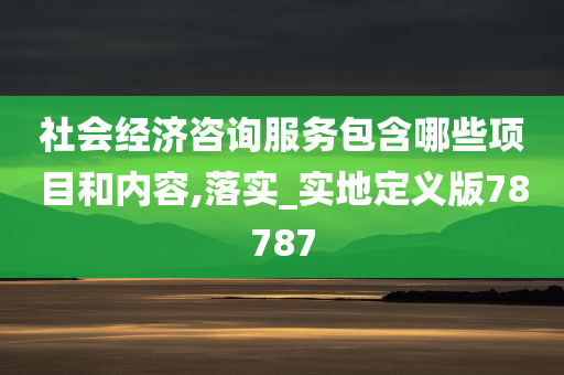 社会经济咨询服务包含哪些项目和内容,落实_实地定义版78787