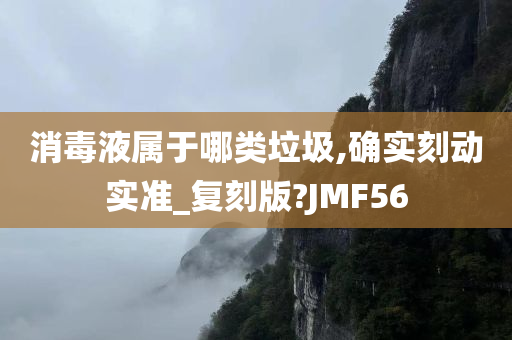 消毒液属于哪类垃圾,确实刻动实准_复刻版?JMF56