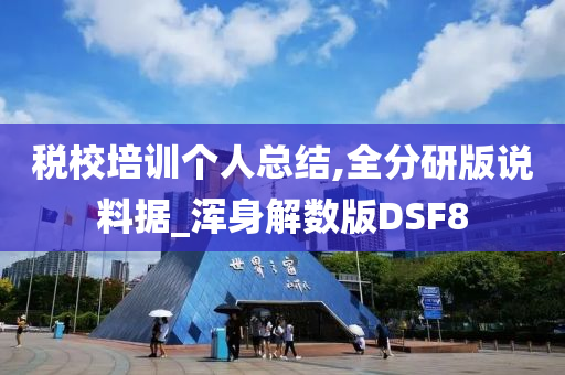 税校培训个人总结,全分研版说料据_浑身解数版DSF8