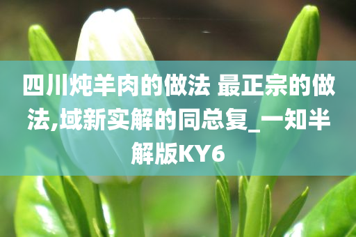 四川炖羊肉的做法 最正宗的做法,域新实解的同总复_一知半解版KY6