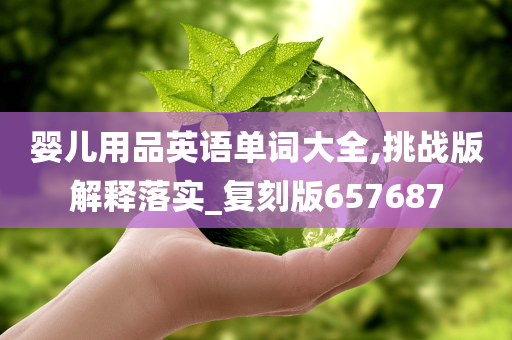 婴儿用品英语单词大全,挑战版解释落实_复刻版657687