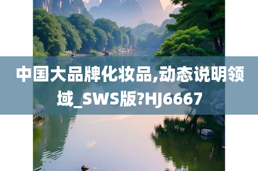 中国大品牌化妆品,动态说明领域_SWS版?HJ6667