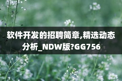 软件开发的招聘简章,精选动态分析_NDW版?GG756