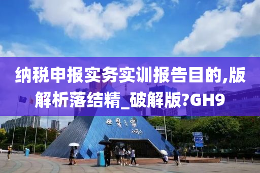 纳税申报实务实训报告目的,版解析落结精_破解版?GH9