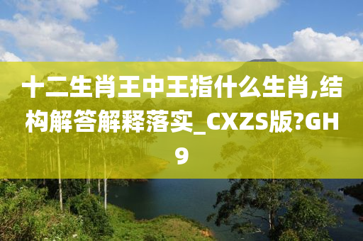 十二生肖王中王指什么生肖,结构解答解释落实_CXZS版?GH9