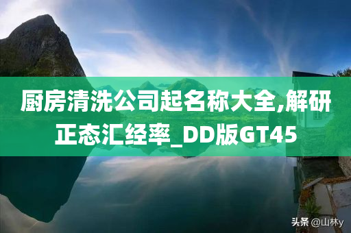 厨房清洗公司起名称大全,解研正态汇经率_DD版GT45