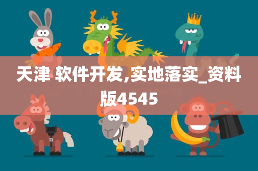 天津 软件开发,实地落实_资料版4545