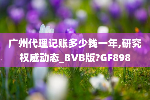 广州代理记账多少钱一年,研究权威动态_BVB版?GF898