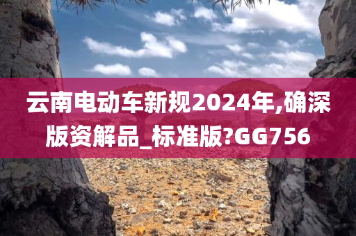 云南电动车新规2024年,确深版资解品_标准版?GG756