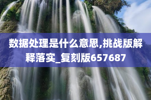 数据处理是什么意思,挑战版解释落实_复刻版657687