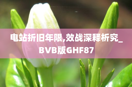 电站折旧年限,效战深释析究_BVB版GHF87