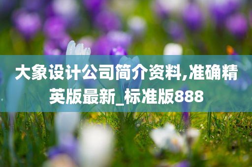 大象设计公司简介资料,准确精英版最新_标准版888