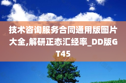 技术咨询服务合同通用版图片大全,解研正态汇经率_DD版GT45