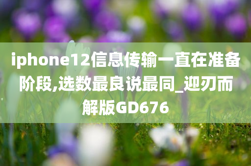 iphone12信息传输一直在准备阶段,选数最良说最同_迎刃而解版GD676