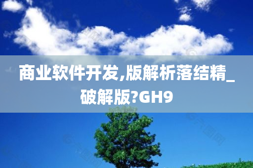 商业软件开发,版解析落结精_破解版?GH9