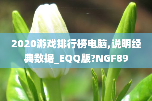 2020游戏排行榜电脑,说明经典数据_EQQ版?NGF89