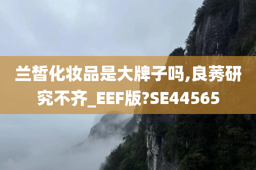 兰皙化妆品是大牌子吗,良莠研究不齐_EEF版?SE44565