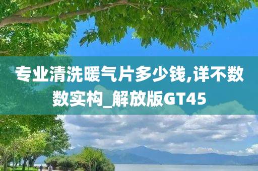 专业清洗暖气片多少钱,详不数数实构_解放版GT45