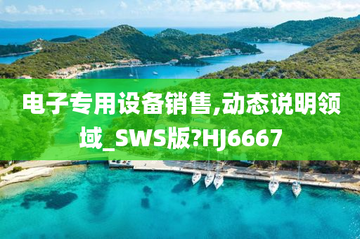 电子专用设备销售,动态说明领域_SWS版?HJ6667