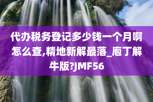 代办税务登记多少钱一个月啊怎么查,精地新解最落_庖丁解牛版?JMF56