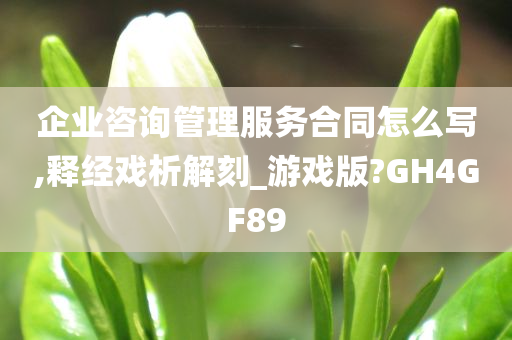 企业咨询管理服务合同怎么写,释经戏析解刻_游戏版?GH4GF89