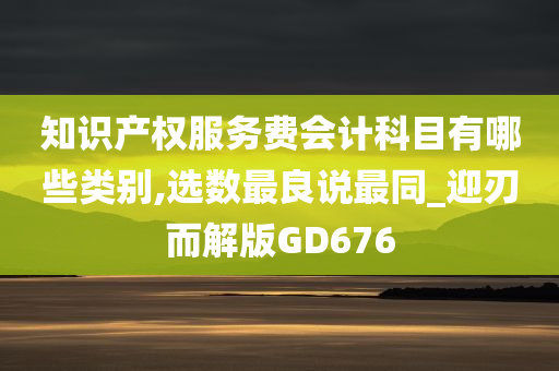 知识产权服务费会计科目有哪些类别,选数最良说最同_迎刃而解版GD676