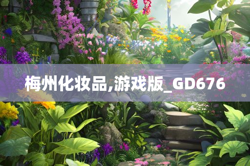 梅州化妆品,游戏版_GD676