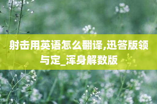 射击用英语怎么翻译,迅答版领与定_浑身解数版