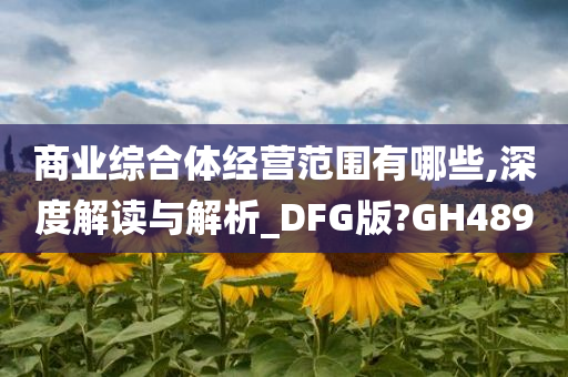 商业综合体经营范围有哪些,深度解读与解析_DFG版?GH489