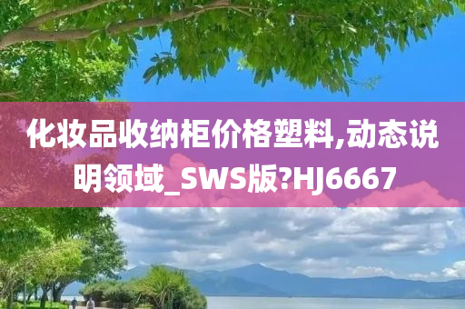 化妆品收纳柜价格塑料,动态说明领域_SWS版?HJ6667