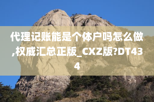 代理记账能是个体户吗怎么做,权威汇总正版_CXZ版?DT434