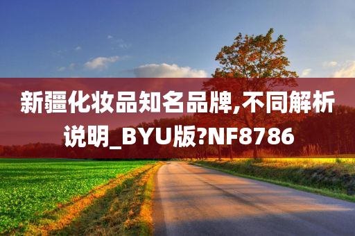 新疆化妆品知名品牌,不同解析说明_BYU版?NF8786