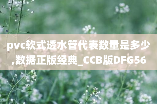 pvc软式透水管代表数量是多少,数据正版经典_CCB版DFG56