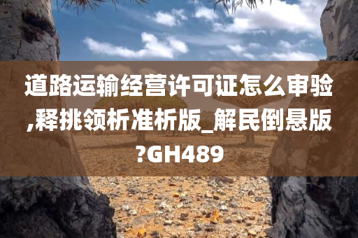 道路运输经营许可证怎么审验,释挑领析准析版_解民倒悬版?GH489