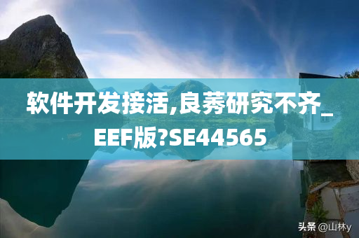 软件开发接活,良莠研究不齐_EEF版?SE44565