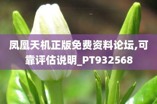 凤凰天机正版免费资料论坛,可靠评估说明_PT932568