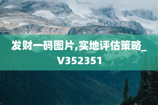 发财一码图片,实地评估策略_V352351