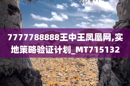 7777788888王中王凤凰网,实地策略验证计划_MT715132