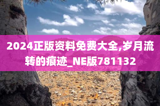 2024正版资料免费大全,岁月流转的痕迹_NE版781132