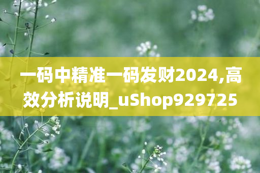 一码中精准一码发财2024,高效分析说明_uShop929725